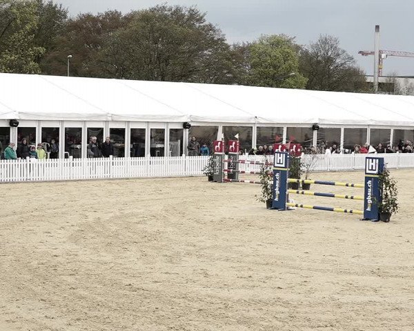 Reitturnier Amriswil 2023