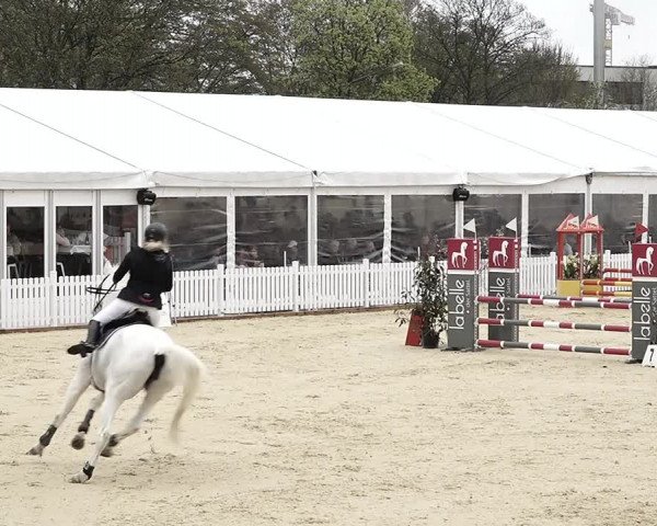 Reitturnier Amriswil 2023