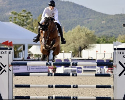 jumper Caracho (Holsteiner, 2013, from Cascadello)