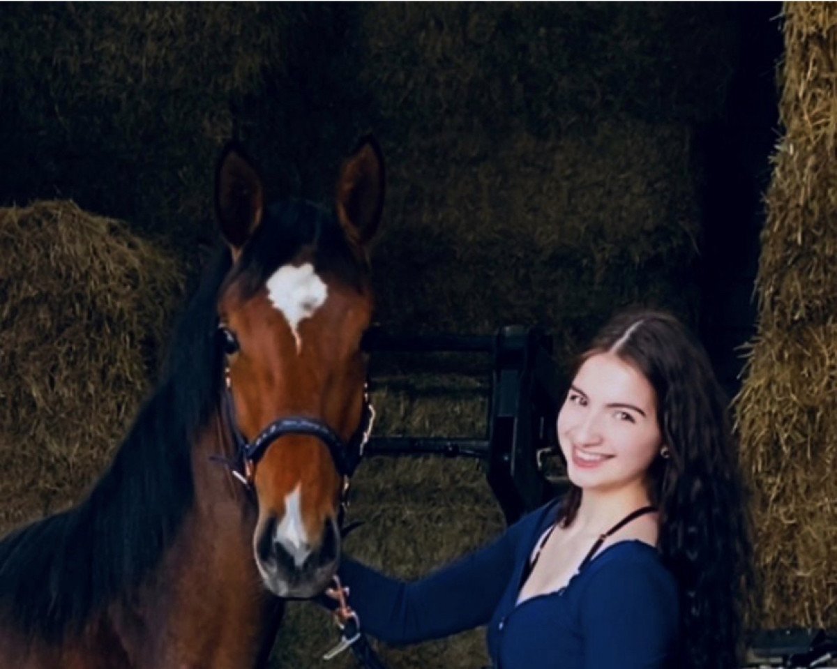 jumper Call me Lilli 3 (Westphalian, 2021, from Cornet Obolensky)