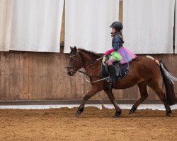 dressage horse Lazy Horse (unknown, 2010)