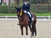 dressage horse Frascati 74 (Oldenburg, 2014, from Franziskus FRH)