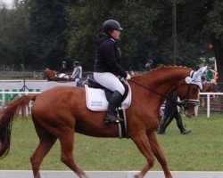 horse Richard of Loxley (Mecklenburg, 2009, from Ranger Ray)