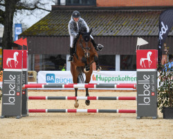 jumper Colorado (German Sport Horse, 2010, from Casdorff)