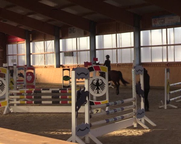 Reitturnier Polzow 2021