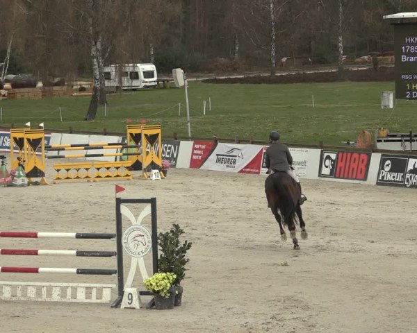 Reitturnier Westergellersen 2023