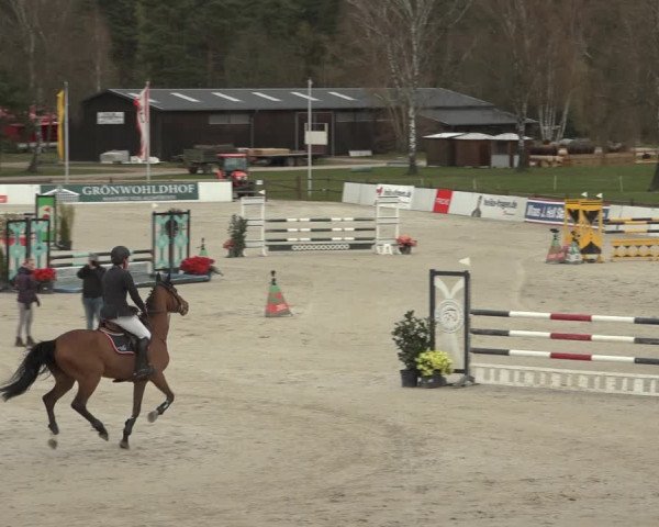 Reitturnier Westergellersen 2023