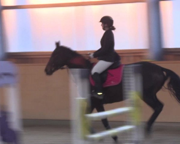 Reitturnier Polzow 2021