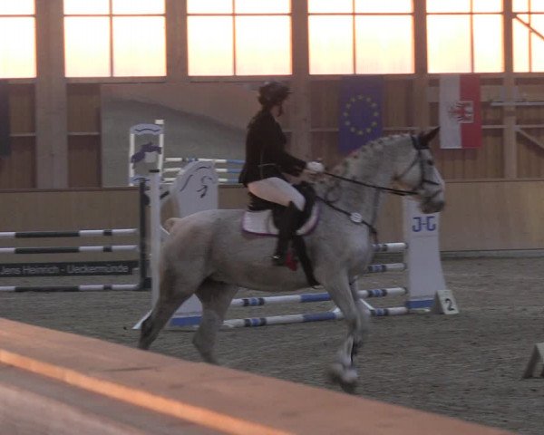 Reitturnier Polzow 2021