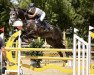 jumper Bob Marley (Oldenburg show jumper, 2016, from Bellator Hvf)