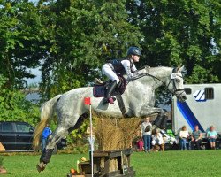 broodmare Tamina (Trakehner, 2008, from Interconti)