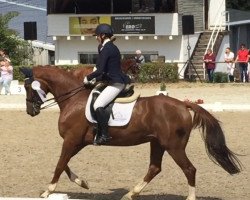 dressage horse Gameboy 63 (Hanoverian, 2012, from Graf Top)