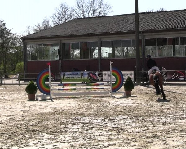 Reitturnier Nienberge 2023