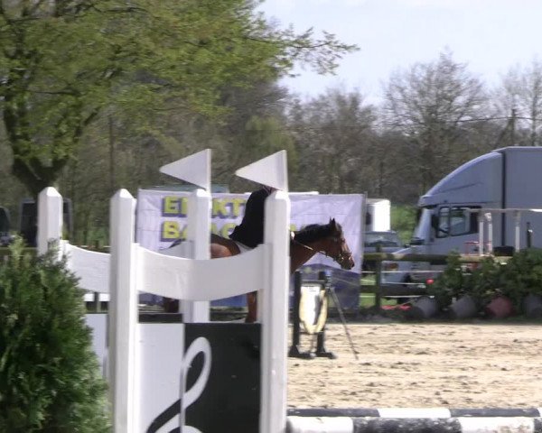 Reitturnier Nienberge 2023