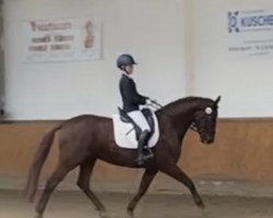 dressage horse Fonundzu G (Hanoverian, 2017, from Fuechtels Floriscount OLD)