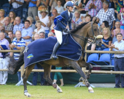 jumper Tantalus (KWPN (Royal Dutch Sporthorse), 2000, from Namelus R)