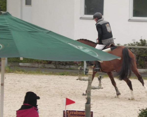 Reitturnier Ingolstadt-Hagau/Obb. 2023