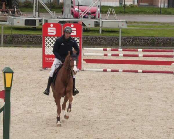 Reitturnier Ingolstadt-Hagau/Obb. 2023