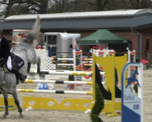 Reitturnier Diepholz 2023
