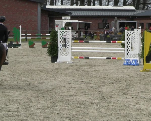 Reitturnier Diepholz 2023