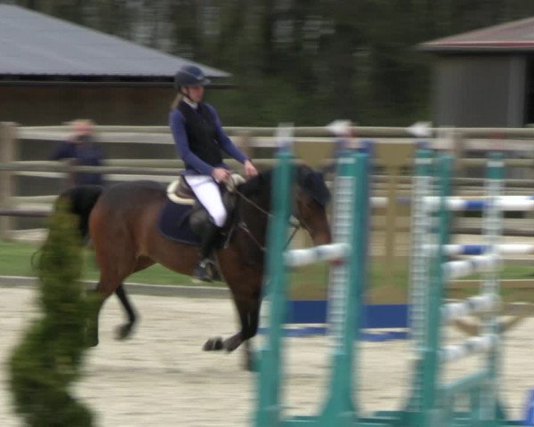 Reitturnier Diepholz 2023
