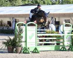 jumper Chuck Bass (Rhinelander, 2011, from Chirivell)