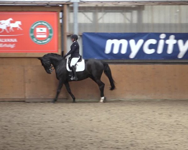 Reitturnier Schlieckau 2023
