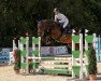 jumper Comme Il Kate (Oldenburg show jumper, 2018, from Comme il Faut)