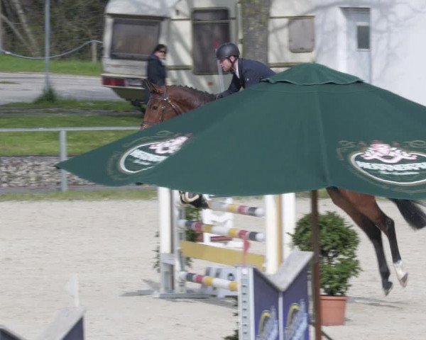 Reitturnier Ingolstadt-Hagau/Obb. 2023