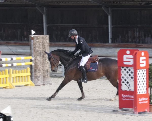 Reitturnier Ingolstadt-Hagau/Obb. 2023