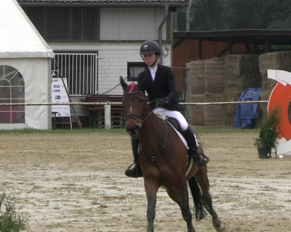 Reitturnier Bottrop 2023