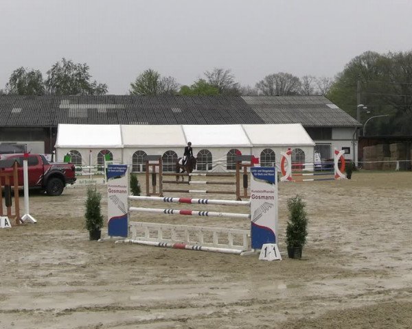 Reitturnier Bottrop 2023