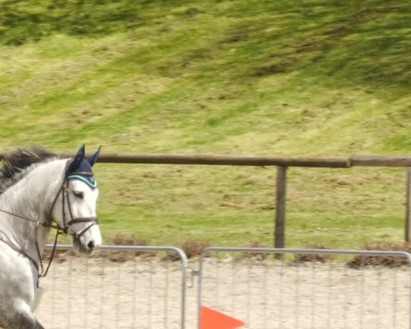 Reitturnier Tübingen 2023