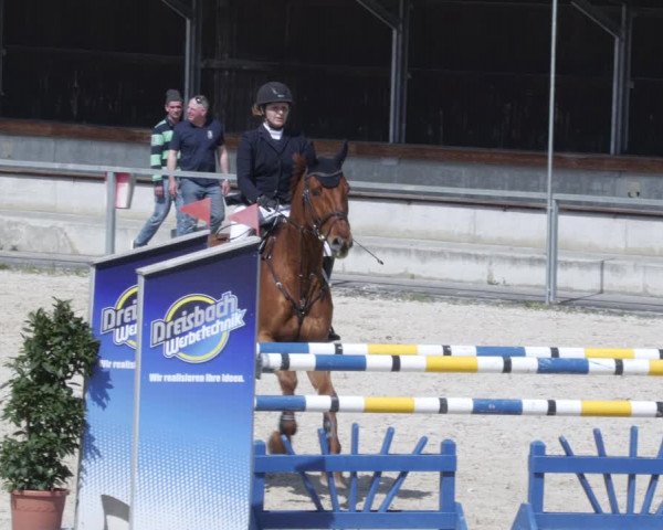 Reitturnier Ingolstadt-Hagau/Obb. 2023