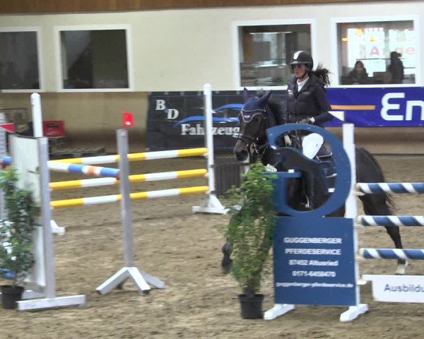 Reitturnier Schwendi 2021