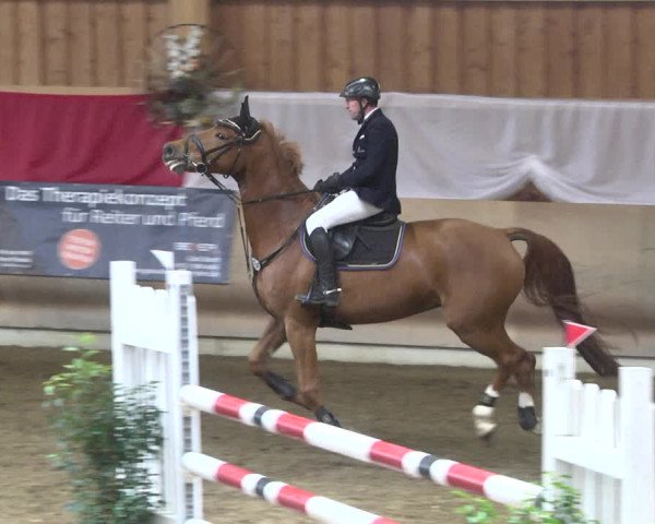 Reitturnier Schwendi 2021