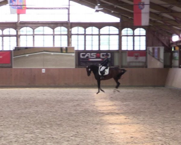 Reitturnier Elisenau 2021