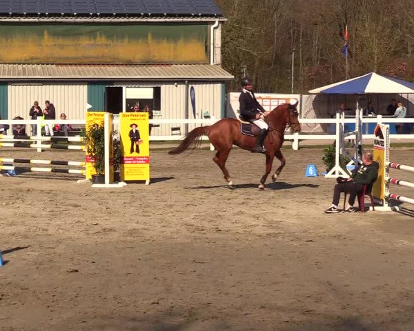 Reitturnier Mildstedt 2023