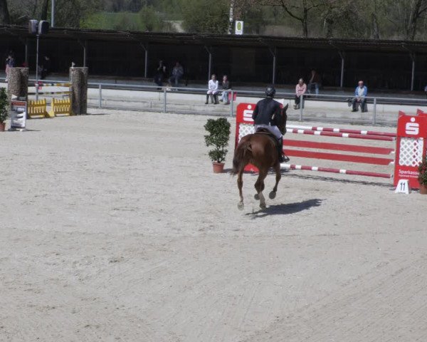 Reitturnier Ingolstadt-Hagau/Obb. 2023