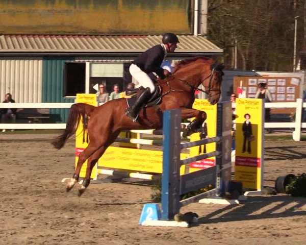 Reitturnier Mildstedt 2023