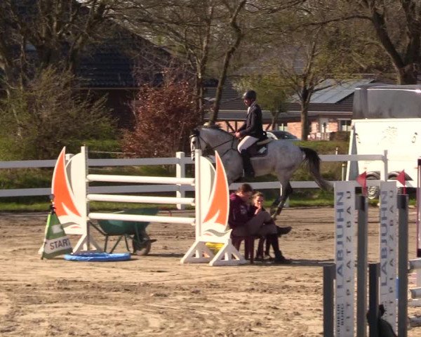 Reitturnier Mildstedt 2023