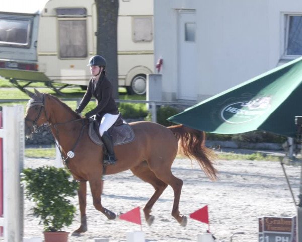Reitturnier Ingolstadt-Hagau/Obb. 2023