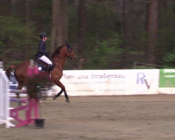 Reitturnier Rhede 2023