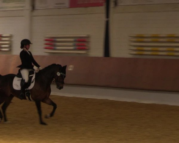 Reitturnier Bottrop 2023