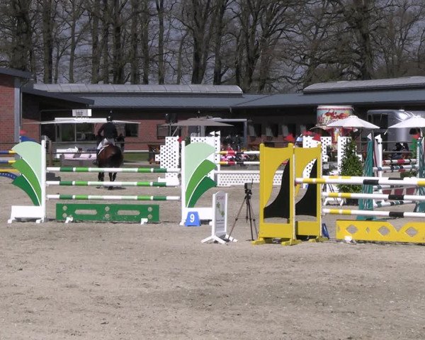 Reitturnier Diepholz 2023