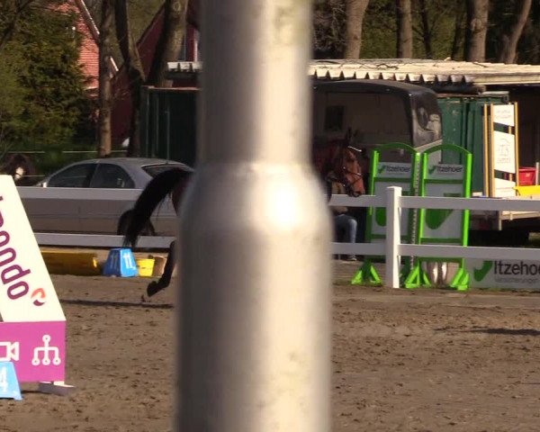 Reitturnier Mildstedt 2023