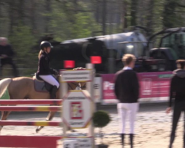 Reitturnier Rhede 2023