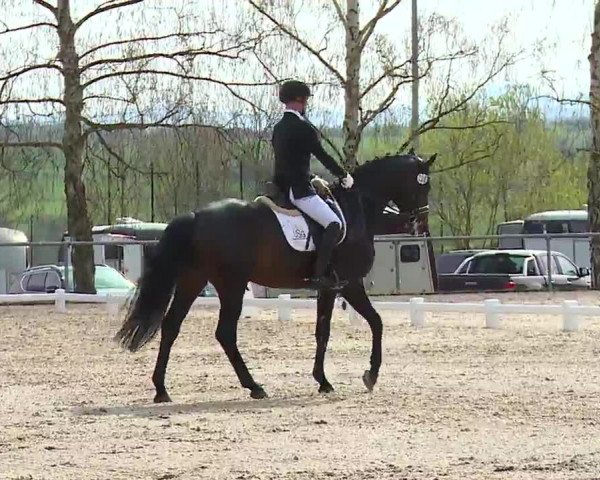 Reitturnier Landenhausen 2023