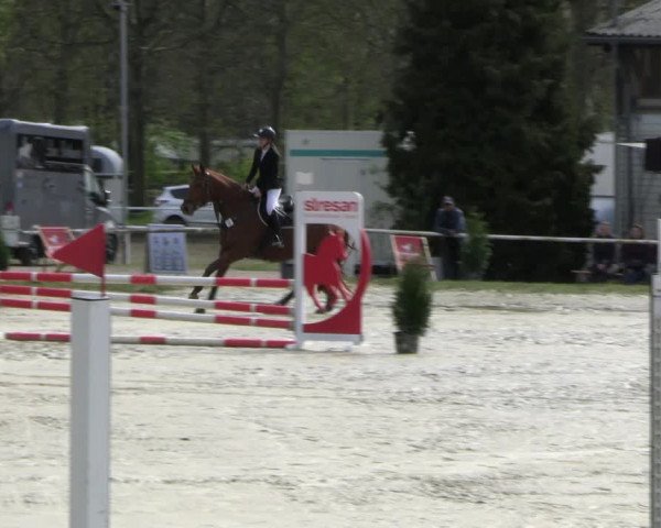 Reitturnier Bottrop 2023
