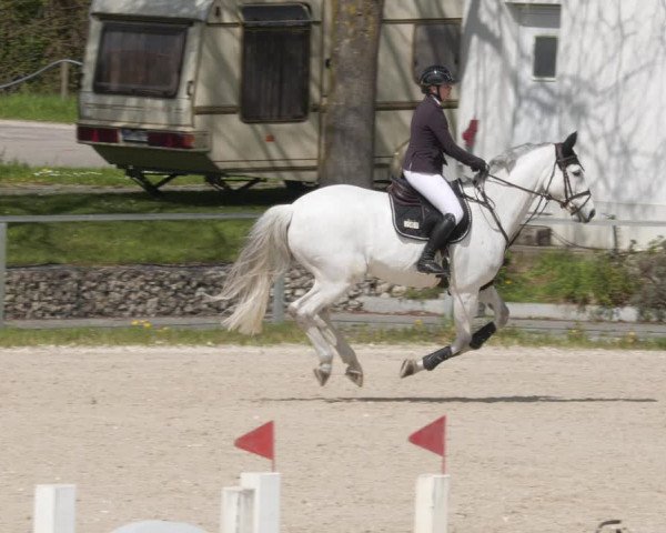 Reitturnier Ingolstadt-Hagau/Obb. 2023